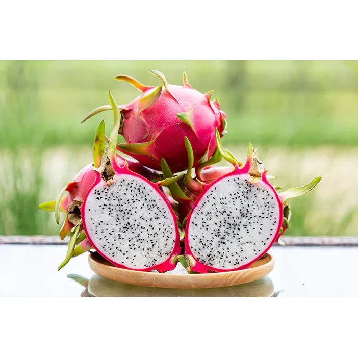 Dragon Fruit
