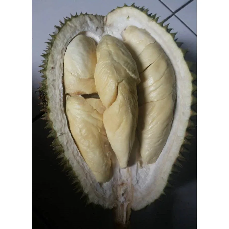 Durian Petruk