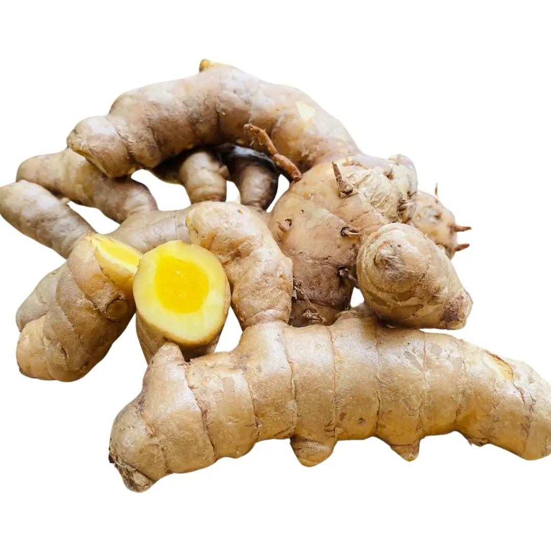 Mango Ginger (Mango ginger) live botanical specimen